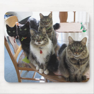 Cat Gang Mouse Pad Mousepad