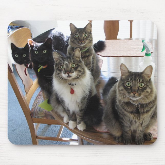 Cat Gang Mouse Pad Mousepad (Vorne)