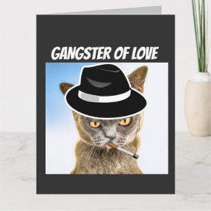 CAT GANGSTER ANNIVERSAIRE SUPERTAILLÉE Carte de vo