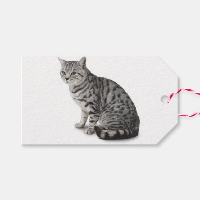 Cat Gift Tag Geschenkanhänger (Vorderseite (Horizontal))