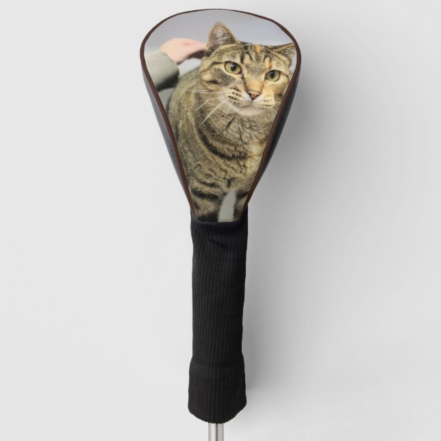 Cat Golf Head Cover Golf Headcover (Vorderseite)