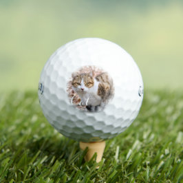 Cat Golfball