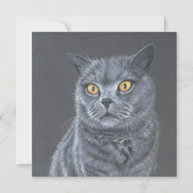 Cat Greeting card.  Feiertagskarte (Vorderseite)