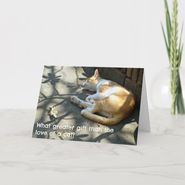 Cat Greetings Card - Was für ein größeres Geschenk Karte (Vorderseite)