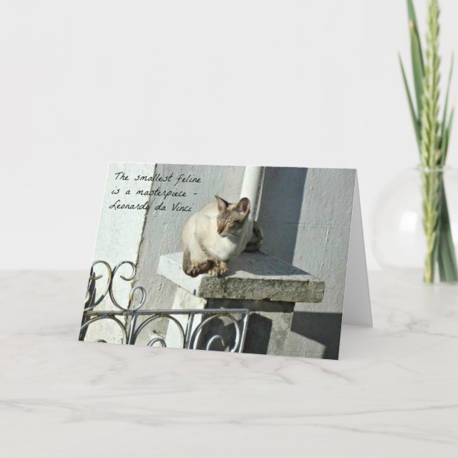 Cat Grußkarte mit Zitat Karte (Vorderseite)