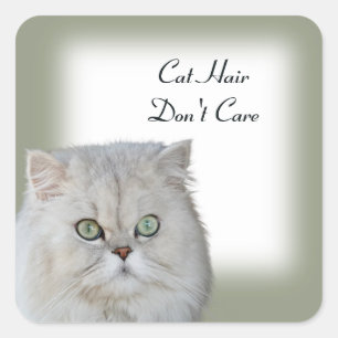 Cat Hair Wichtig für Aufkleber
