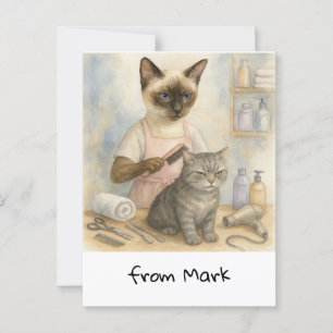 Cat Hairdresser Postkarte