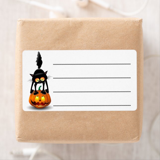 Cat Halloween erschreckter Cartoon auf Kürbiskröte (Insitu)