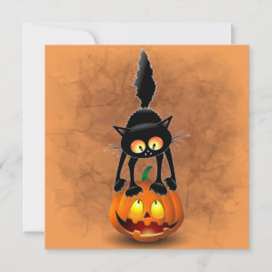 Cat Halloween erschreckter Cartoon auf Kürbiskröte Einladung