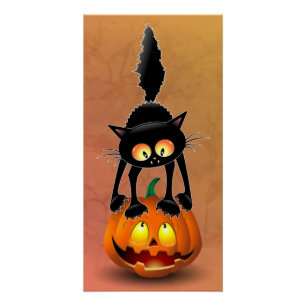 Cat Halloween erschreckter Cartoon auf Kürbiskröte Poster