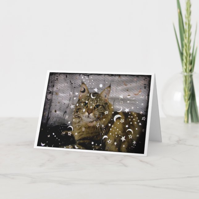 Cat Halloween oder jede Gelegenheit Grußkarte Karte (Vorderseite)