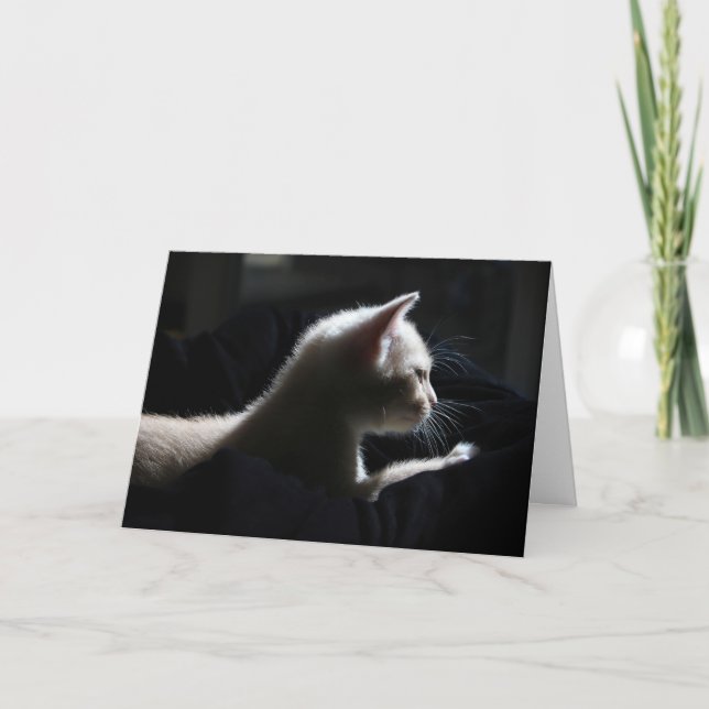 Cat Happy Birthday Card Karte (Vorderseite)