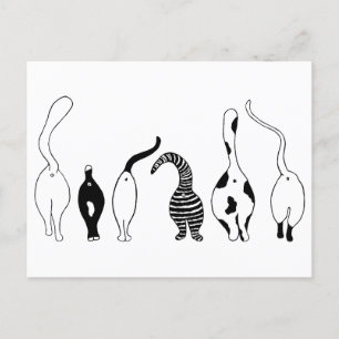 Cat-Hintern Postkarte