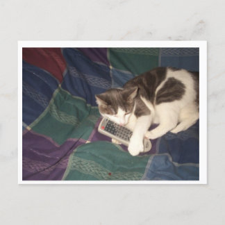 Cat-Hogging remote Postkarte