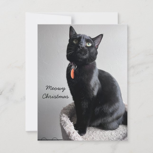 Cat Holiday Card Mitteilungskarte (Vorderseite)