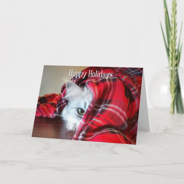 Cat Holiday Card Peeking Feiertagskarte (Vorderseite)