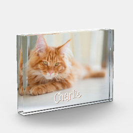 Cat Horizontal Foto Name des Niedlichen Schriftart