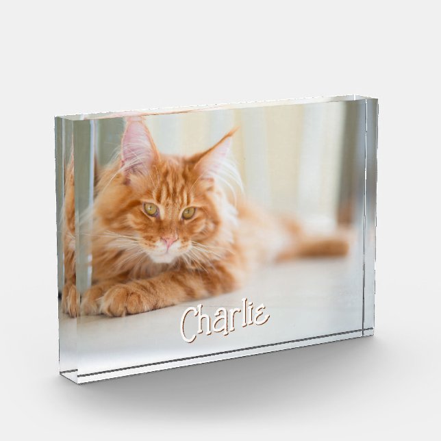 Cat Horizontal Foto Name des Niedlichen Schriftart (Links)