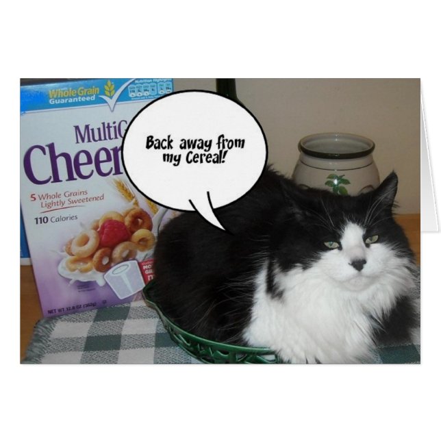 Cat humour (Devant horizontal)