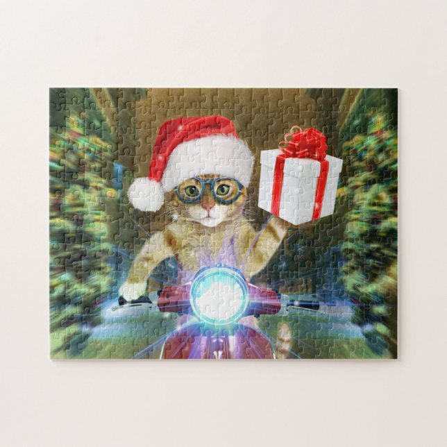 Cat in the Santa Claus hat delivers Christmas gift (Horizontal)