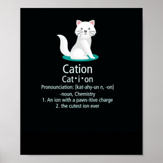 cat ion pawsitive charge poster