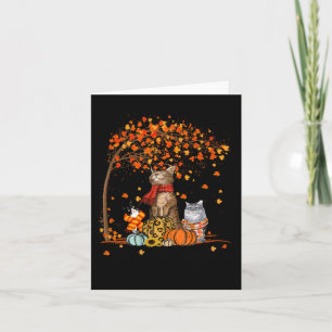 Cat It's Fall Y’all Pumpkins Autumn Halloween Cat Karte