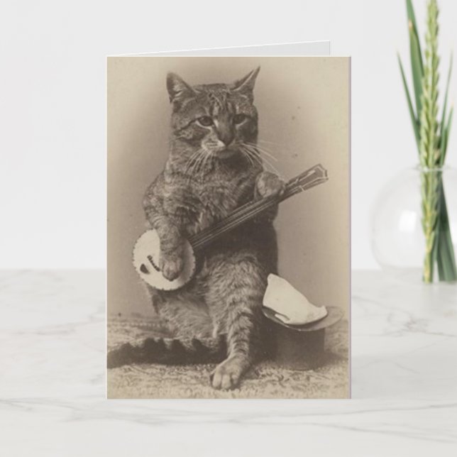 CAT JOUER BANJO VINTAGE CARTE D'ANNIVERSAIRE (Devant)