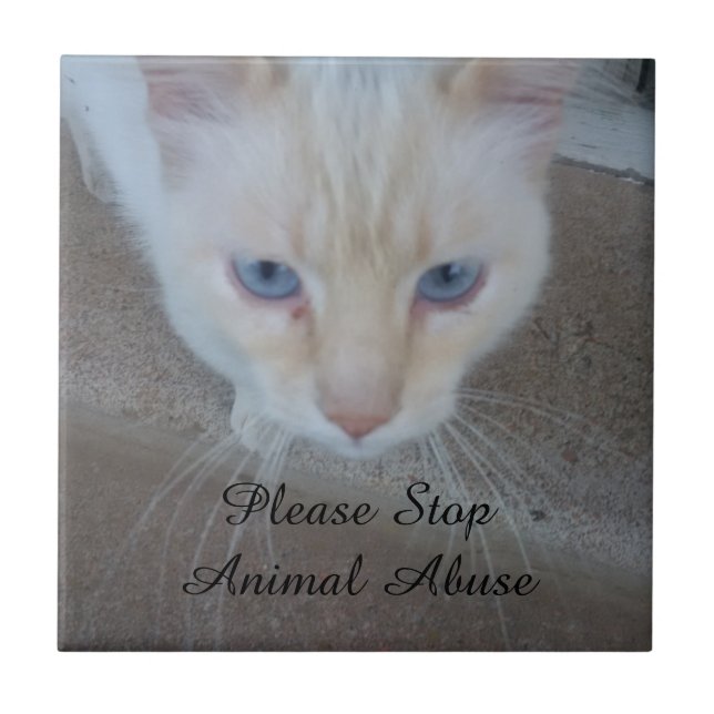 Cat Keramik Tile Fliese (Vorderseite)