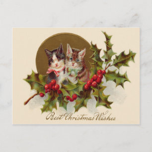 Cat Kitten Holly Winterberry Feiertagspostkarte