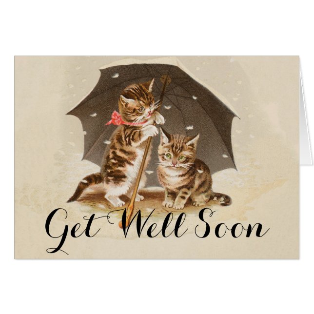 Cat Kitten kitty antiken Vintag hübsch niedlich (Vorderseite (Horizontal))