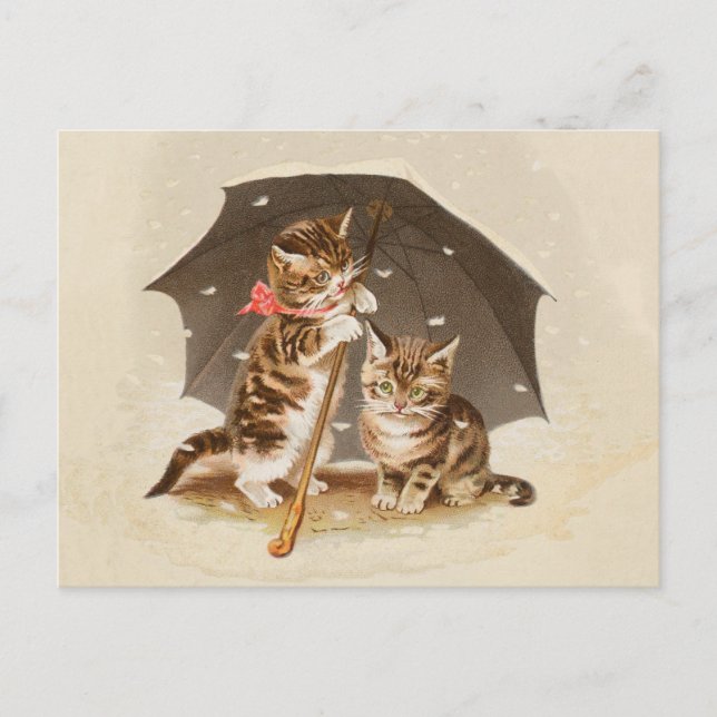 Cat Kitten kitty antiken Vintag hübsch niedlich Postkarte (Vorderseite)