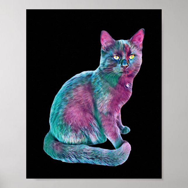 Cat Kitten Niedliche Pelznase Funny Animals Poster (Vorne)