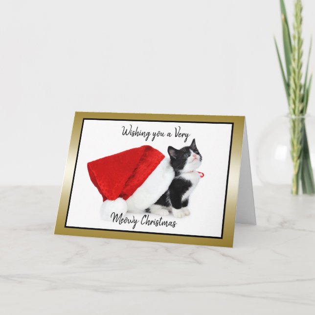 Cat Kitten Weihnachten Schöne Weihnachten (Vorderseite)