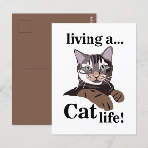 Cat Kitty Funny Postkarte