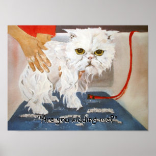 Cat Kitty Vet Pet Cat Bath Spaß Funny Poster