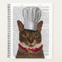 Cat Koch