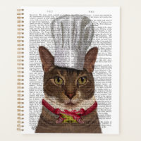 Cat Koch