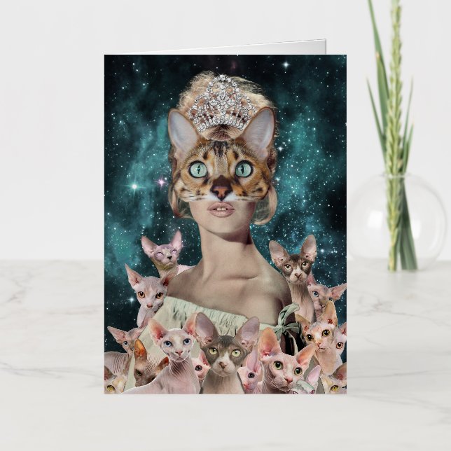 Cat Lady (Vorderseite)