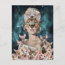 Cat Lady Postkarte