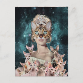 Cat Lady Postkarte