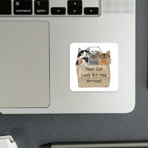 Cat Lady Starter Kit Quadratischer Aufkleber
