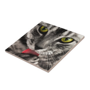 Cat Lick Fliese