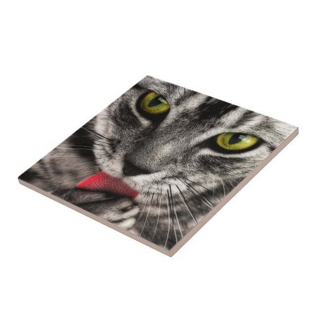 Cat Lick Fliese (Seite)