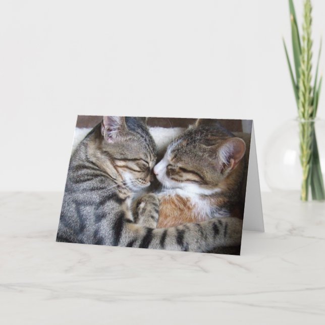 Cat Liebe Card Karte (Vorderseite)