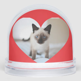 Cat-Liebe Schneekugeln