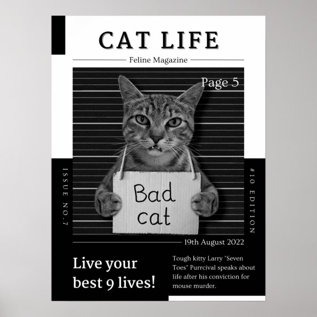 CAT LIFE-Magazin Poster (Vorne)