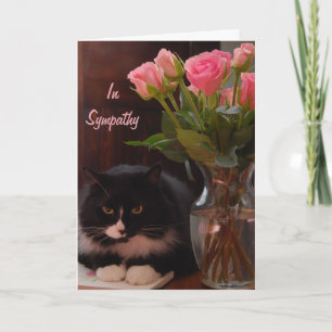 Cat Loss Beileid mit rosa Rosen Karte