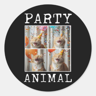 Cat Lover Animal Themed Happy Cat Birthday Runder Aufkleber
