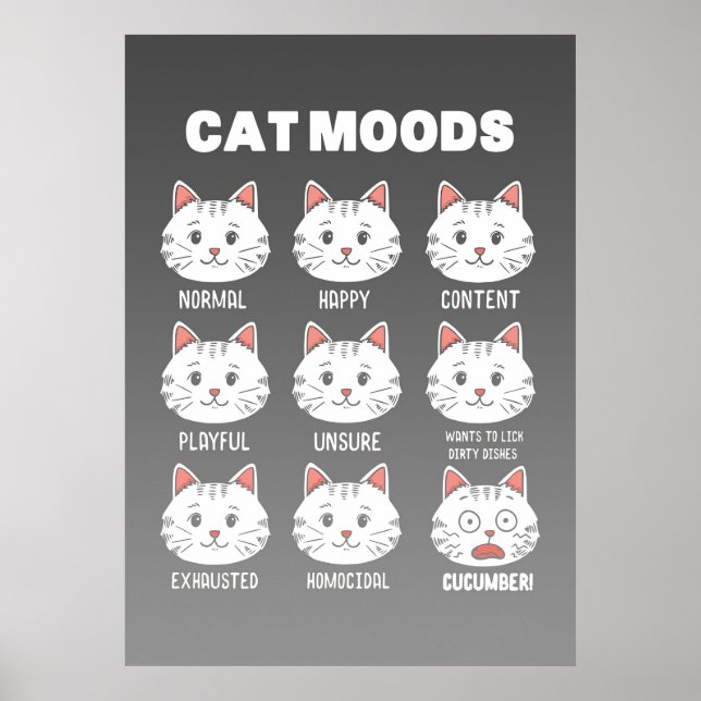 Cat Lover Cat Moods Poster (Vorne)