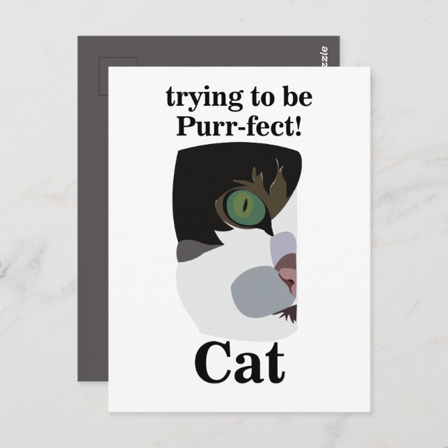 Cat Lover Funny Postkarte (Vorne/Hinten)